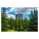 KOLEDAR LEPA SLOVENIJA 2027 – J - slika 8