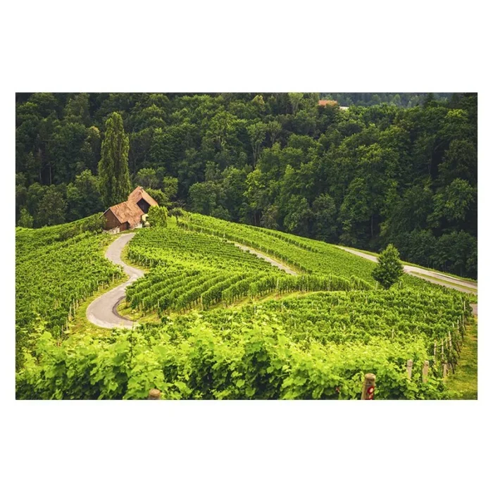 KOLEDAR POTEP PO SLOVENIJI 2027 – J - slika 9