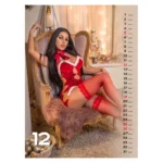 KOLEDAR SEXY GIRLS 2027 – M - slika 14