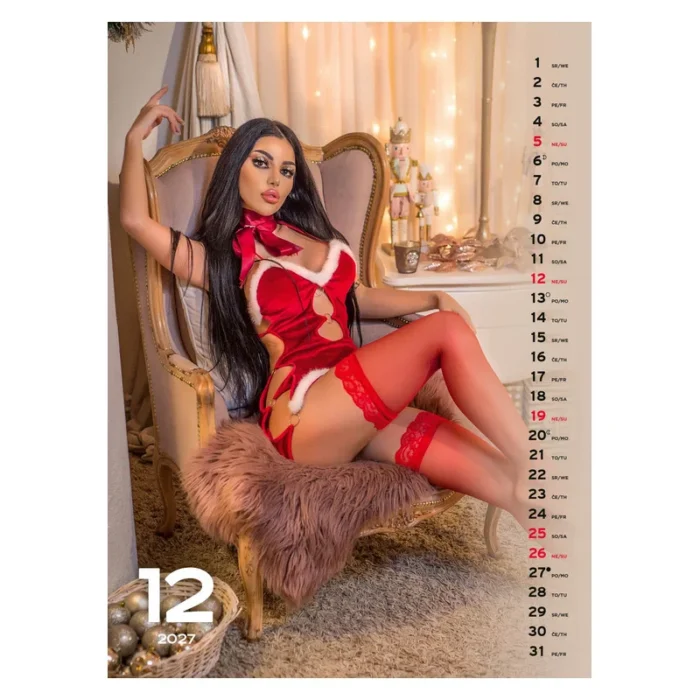 KOLEDAR SEXY GIRLS 2027 – M - slika 14
