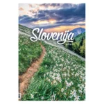KOLEDAR SLOVENIJA 2027 – M - slika 2