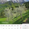 KOLEDAR ALPE SLOVENIJE 2025 – M - Image 4